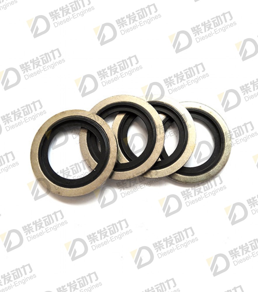 Sealing ring 20579690 